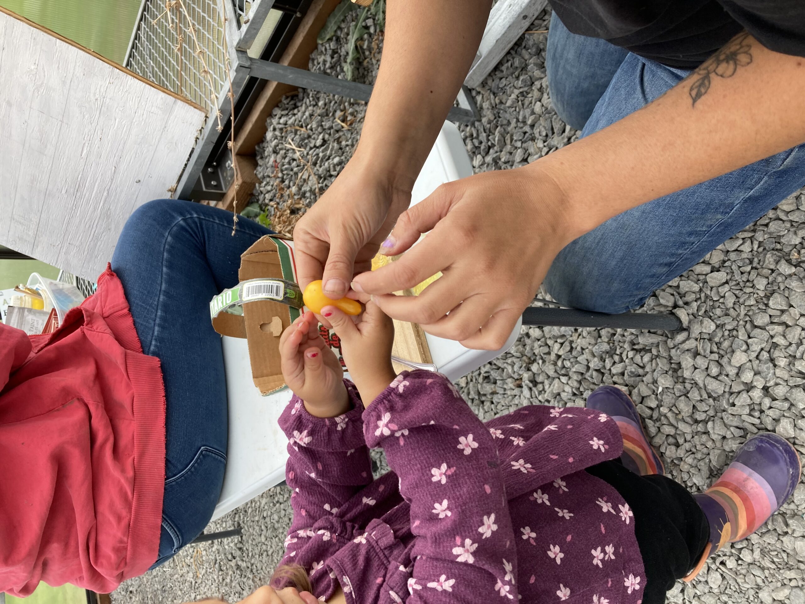 Kenhté:ke Seed Sanctuary & Learning Centre