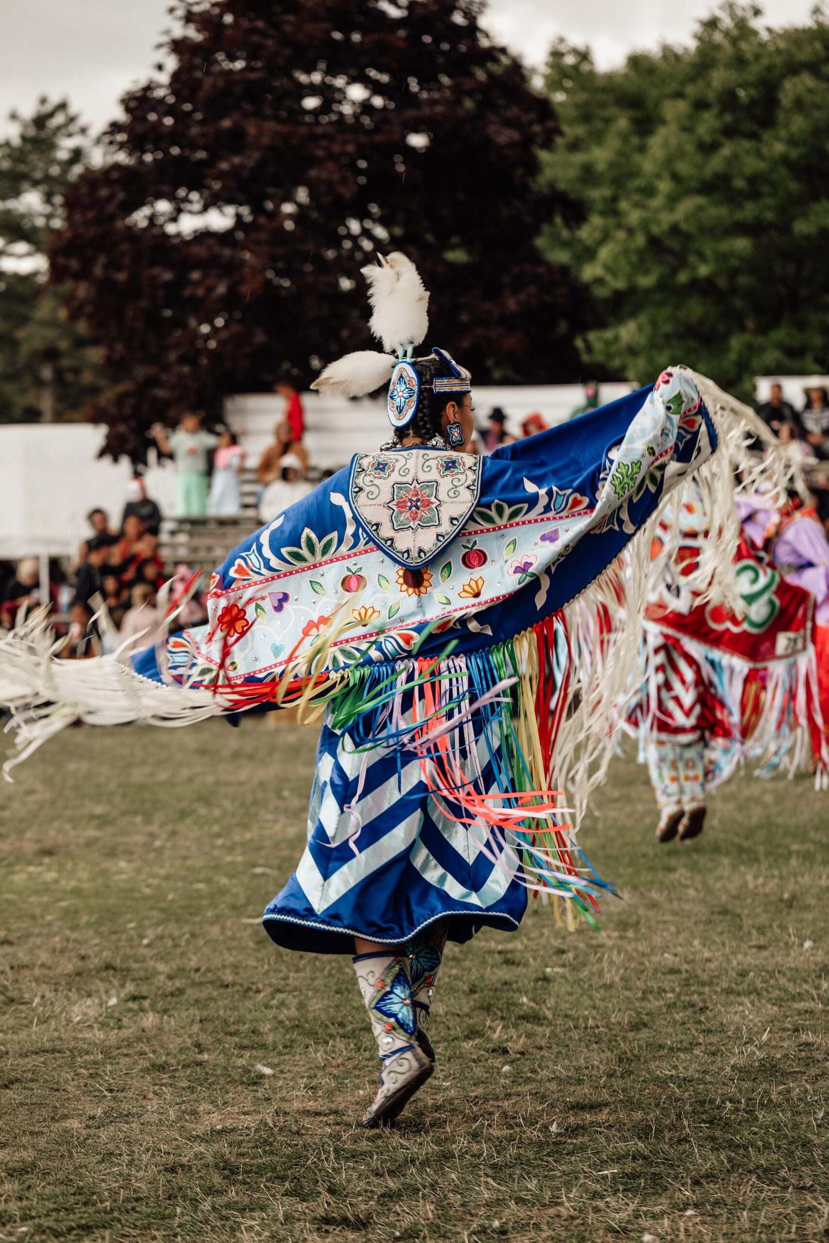 Established in 1975 as a trust and a charity by